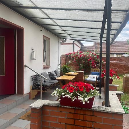 Kahnstuebchen Mit Neuem Innenhof Garten Lübben Dış mekan fotoğraf