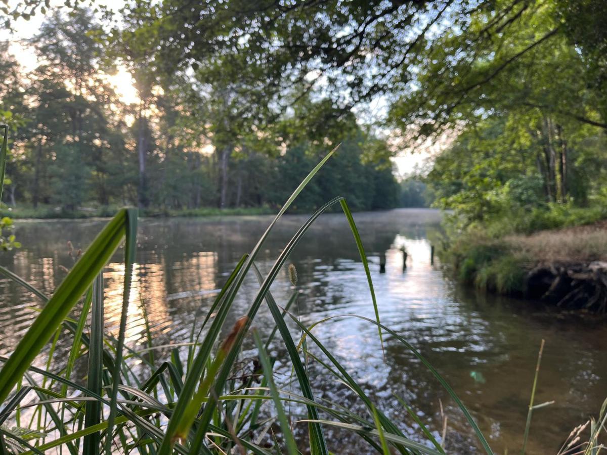 Kahnstuebchen Mit Neuem Innenhof Garten Lübben Dış mekan fotoğraf